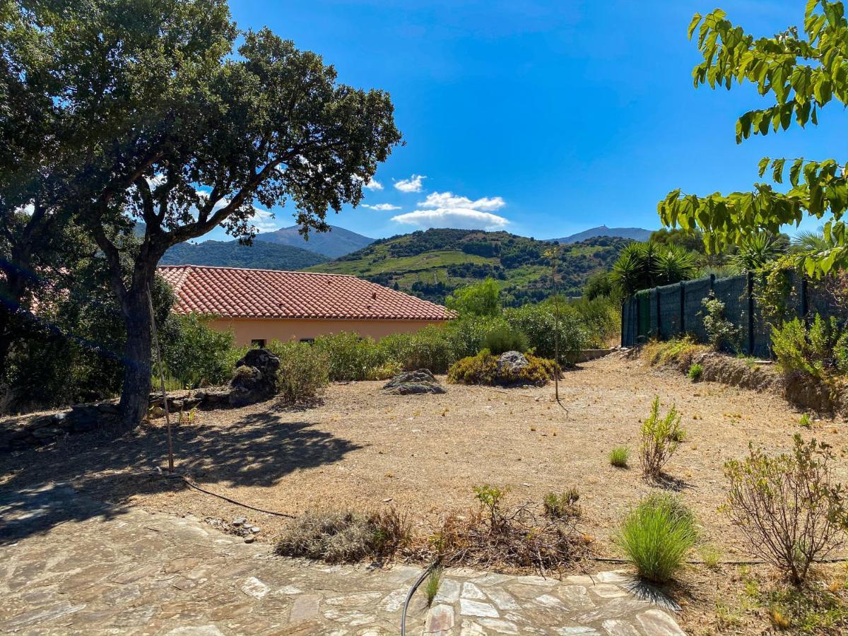 4Amb2 Villa De Caractere Avec Piscine Collective Collioure Bagian luar foto