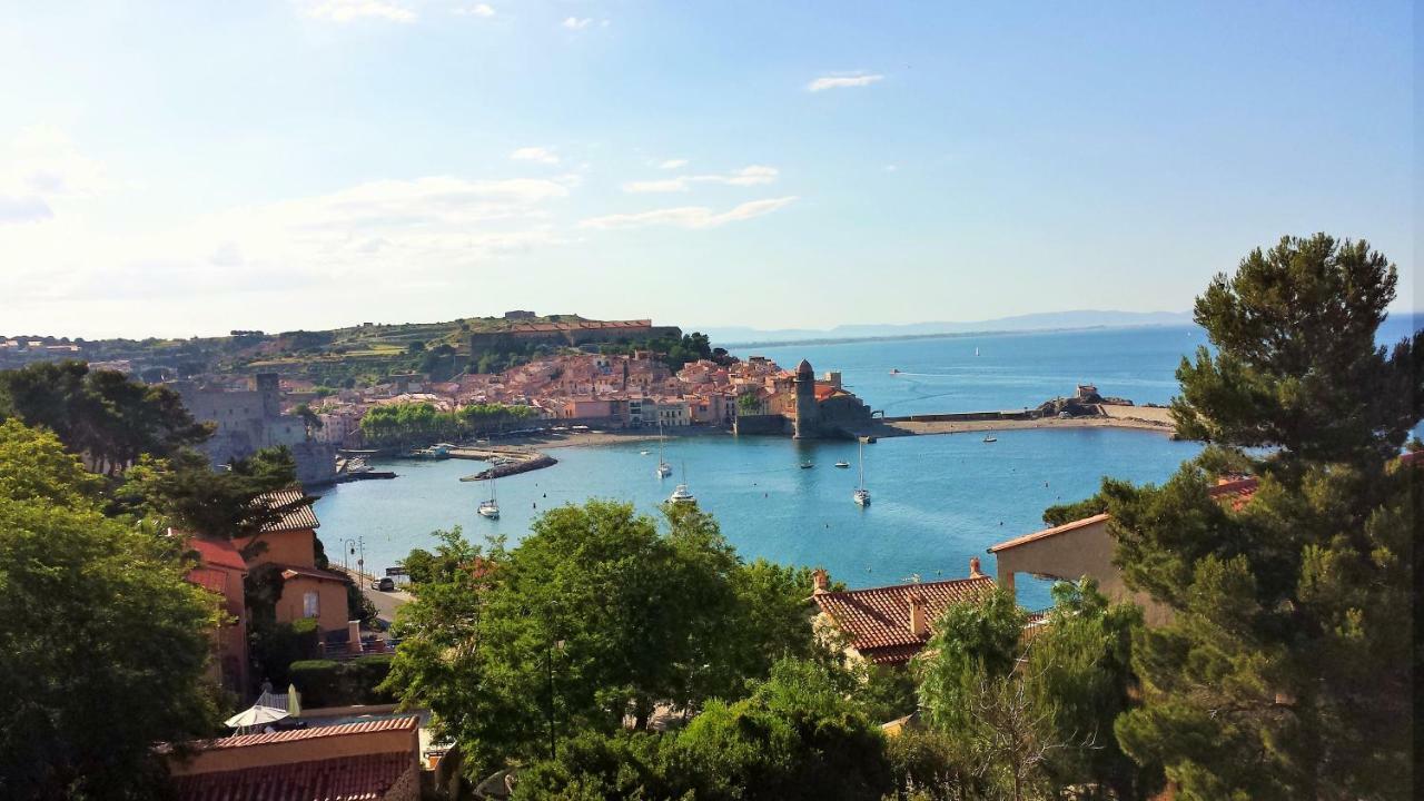 4Amb2 Villa De Caractere Avec Piscine Collective Collioure Bagian luar foto